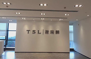 Shenzhen Fuji building - Xie Ruilin TSL